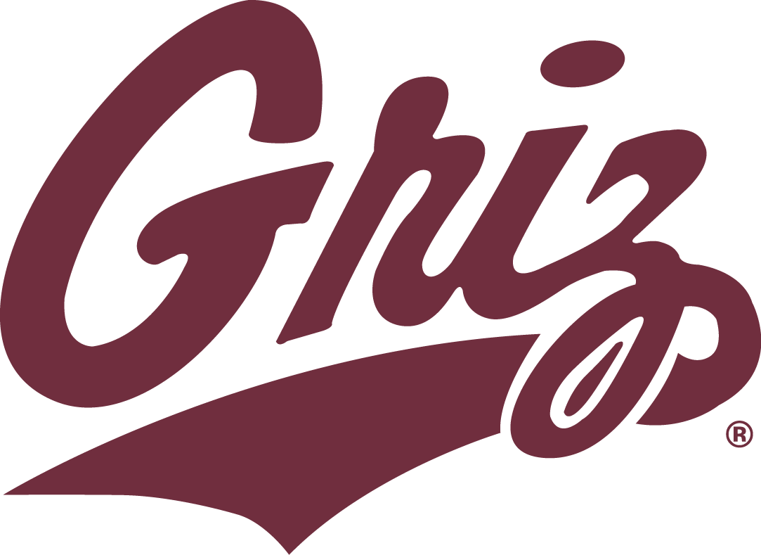 Montana Grizzlies 1996-Pres Secondary Logo iron on transfers for T-shirts
